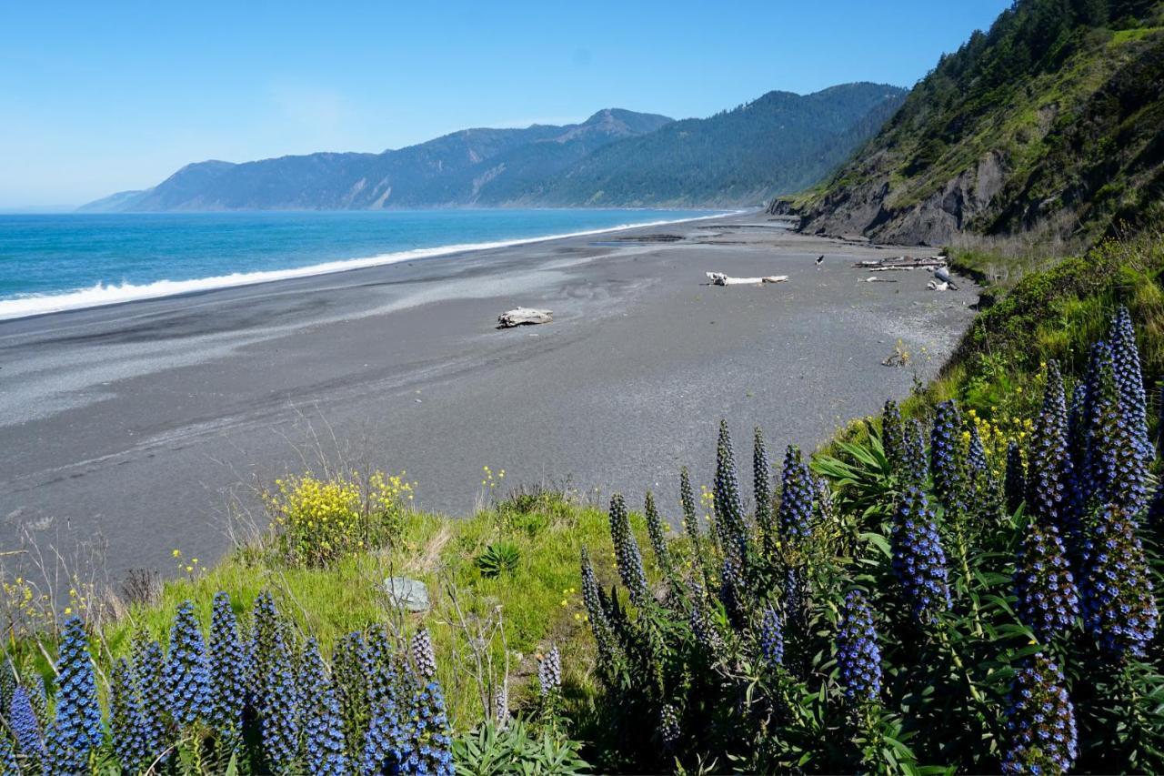 Lost Coast Hideaway Shelter Cove Kültér fotó